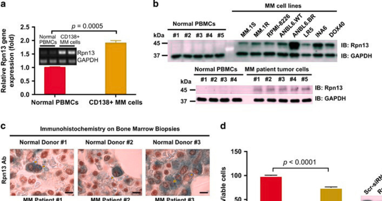pru core pl bd cl 5 2 Untitled design 2025 11 05T110004.405