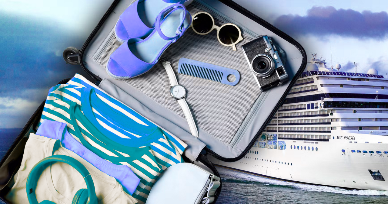 Cool Things to Bring on a Cruise. with a Sensitive Stomach 2 Untitled design 2025 11 06T094937.755 1